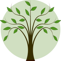 Vertikale und horizontale Begrünung von Gebäuden und Quartieren