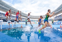 Sport-1834465_1280.jpg