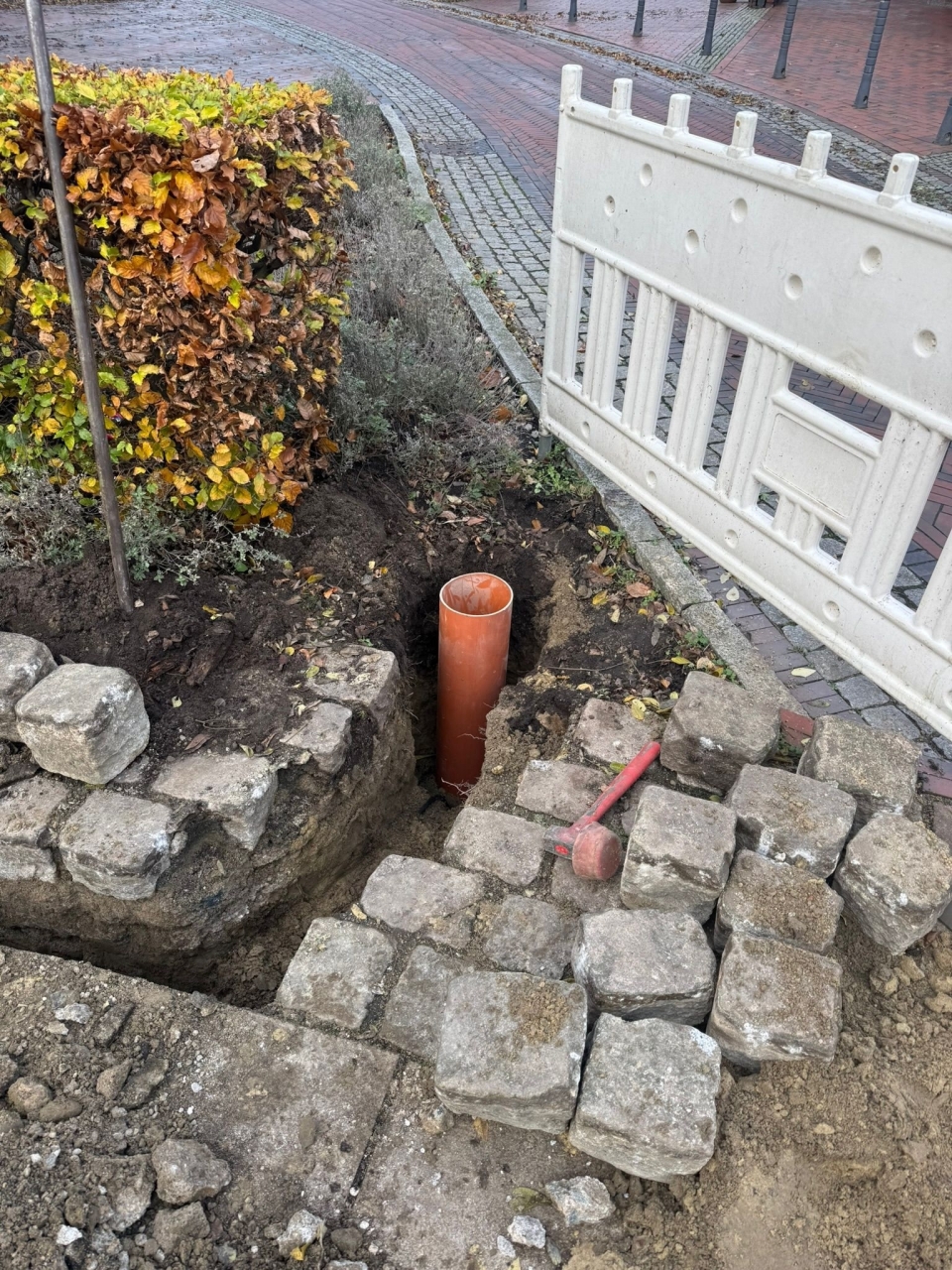 25-11-27 06-59-41 5617