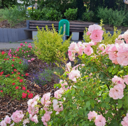 Ohne Titel 27.06.2023
